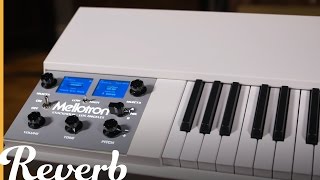 Mellotron M4000D Mini  Reverb Demo Video [upl. by Kieryt]