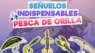 5 MEJORES SEÑUELOS para pescar LOBINA DE ORILLA y CÓMO USARLOS [upl. by Ipoillak129]