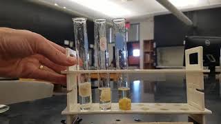 Lab 14 Enzyme activity experiment [upl. by Slifka145]