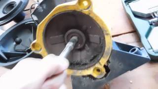 Davey Water Pump Autopsy [upl. by Edobalo438]