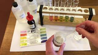 How pH effects enzyme activity [upl. by Aihsened887]