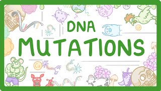 GCSE Biology  What are DNA Mutations 67 [upl. by Vachell]