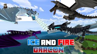 Ice and Fire Dragons MCPE Bedrock 118 [upl. by Eatnwahs493]