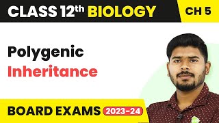 Polygenic Inheritance  Principles of Inheritance and Variation  Class 12 202223 [upl. by Kenimod780]