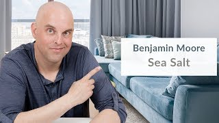 Benjamin Moore Sea Salt Color Review [upl. by Sanyu]