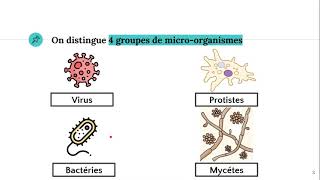 Les microorganismes 🦠 [upl. by Maribelle528]