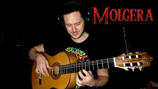 Molgera  Theophany Guitar Solo [upl. by Aryc]