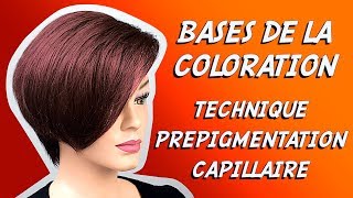 PREPIGMENTATION AVANT COLORATION DES CHEVEUX ✿ BASES DE LA COLORATION [upl. by Annabal]