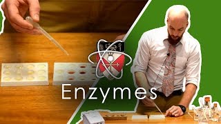 Enzymes  GCSE Science Required Practical [upl. by Sergio]