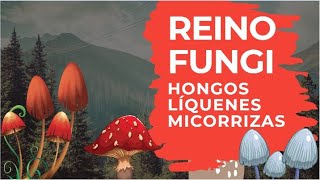 Reino Fungi HONGOS LÍQUENES Y MICORRIZAS [upl. by Nomar]