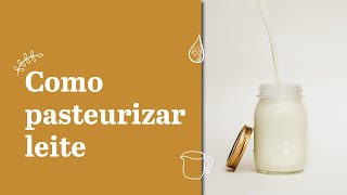 Como pasteurizar leite em casa  Queijo caseiro fácil para iniciantes [upl. by Lenhard524]