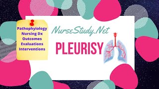 Pleurisy Pathophysiology Care Plan for Nursing Students NCLEX Help [upl. by Aizitel112]