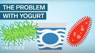 Yogurt Is More Unhealthy Than You Think [upl. by Suirauqed]