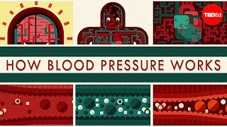 Hemodynamics Arterial Blood Pressure monitoring [upl. by Gabbey]