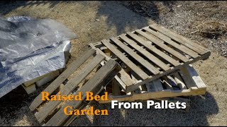 Raised Bed Garden from Pallets [upl. by Arick]