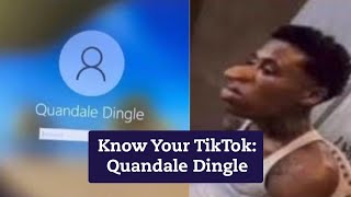 Who is Quandale Dingle [upl. by Sicard]