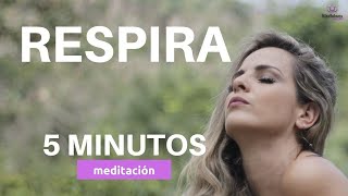 ✨ Meditacion corta 5 MINUTOS  Respiracion Consciente [upl. by Akienaj]