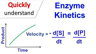 Enzyme kinetics [upl. by Wilbert523]