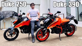 2024 Duke 250 vs Duke 390  Comparison  The Real Differences [upl. by Atiras905]