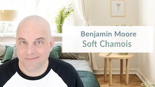 Benjamin Moore Soft Chamois Color Review [upl. by Ramak700]