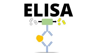 ELISA Enzymelinked Immunosorbent Assay [upl. by Langbehn]