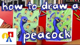 How To Draw A Peacock realistic [upl. by Esinyt459]