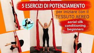 Tessuto aereo Danza Aerea POTENZIAMENTO PER PRINCIPIANTI aerial silk CONDITIONING FOR BEGINNERS [upl. by Ycal]