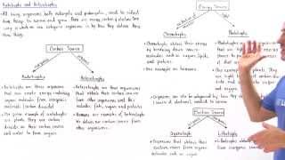 Autotrophs and Heterotrophs [upl. by Hiroko]