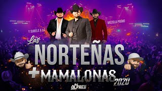 Las Norteñas Más Mamalonas del 2020 Mix By Dj Alfred  Con Ese Corazón Acurrucar Tu Basta [upl. by Hijoung]