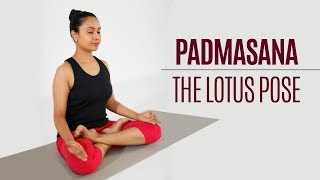 How to do Padmasana – Lotus Pose  Yoga  Sitting Posture [upl. by Franz210]