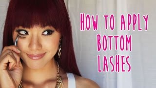 How to Apply Bottom False Eyelashes [upl. by Anihs]