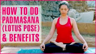 How To Do PADMASANA LOTUS POSE YOGA amp Its Benefits [upl. by Eulau893]