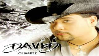 No Te Vayas  David Olivares [upl. by Larkins790]