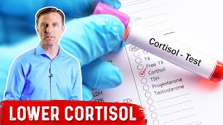 How To LOWER Cortisol Levels – Dr Berg [upl. by Alwyn229]