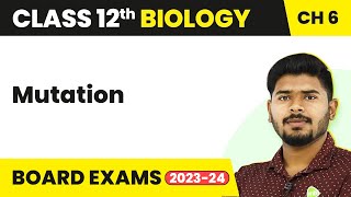 Mutation  Molecular Basis of Inheritance  Class 12 Biology 202223 [upl. by Goldenberg]