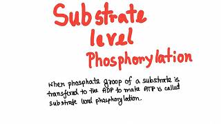 Glycolysis substrate level phosphorylation [upl. by Tireb]