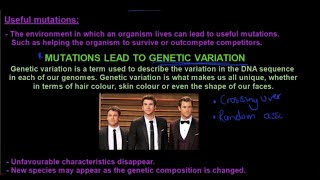 Gr 12 Life Sciences Genetics and Inheritance Part 9 Mutations [upl. by Enair]