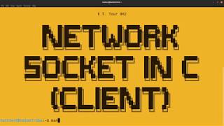 Network Socket in C Client [upl. by Helsell]