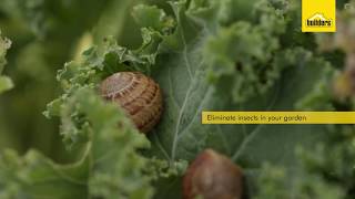 How Do Insecticides Work [upl. by Yroj]