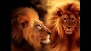 The Lion of Judah is Roaring [upl. by Annek]