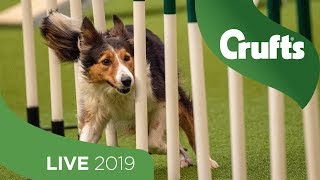 Crufts 2019 Day 1  Part 1 LIVE [upl. by Sanjiv]