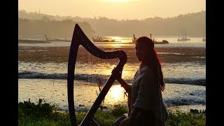 Inisheer  Irish ballad  Celtic harp amp low whistle [upl. by Butte]