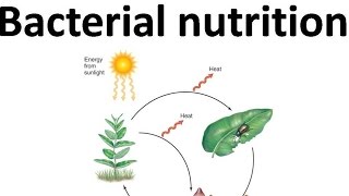 Autotroph heterotroph chemolithotroph etc [upl. by Atikaj]