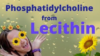 The 11 Benefits of Lecithin [upl. by Akiemaj506]