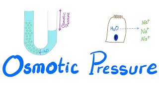 Osmotic Pressure  Osmosis  Colligative property  Physiology Series [upl. by Ahsema]