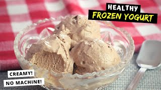 Homemade Frozen Yogurt HEALTHY CREAMY NO MACHINE REQUIRED [upl. by Divine]