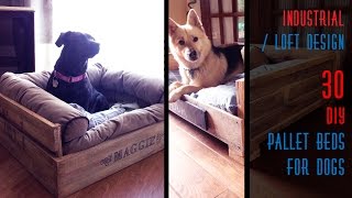 30 DIY Pallet Beds For Dogs [upl. by Ja]