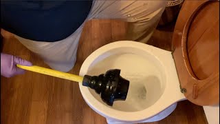 How to use a plunger correctly and use the RIGHT plunger [upl. by Janet488]