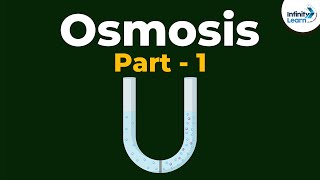 What is Osmosis  Part 1  Cell  Infinity Learn [upl. by Kcire]