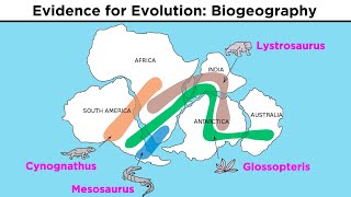 The Evolution of Populations Natural Selection Genetic Drift and Gene Flow [upl. by Abehs208]